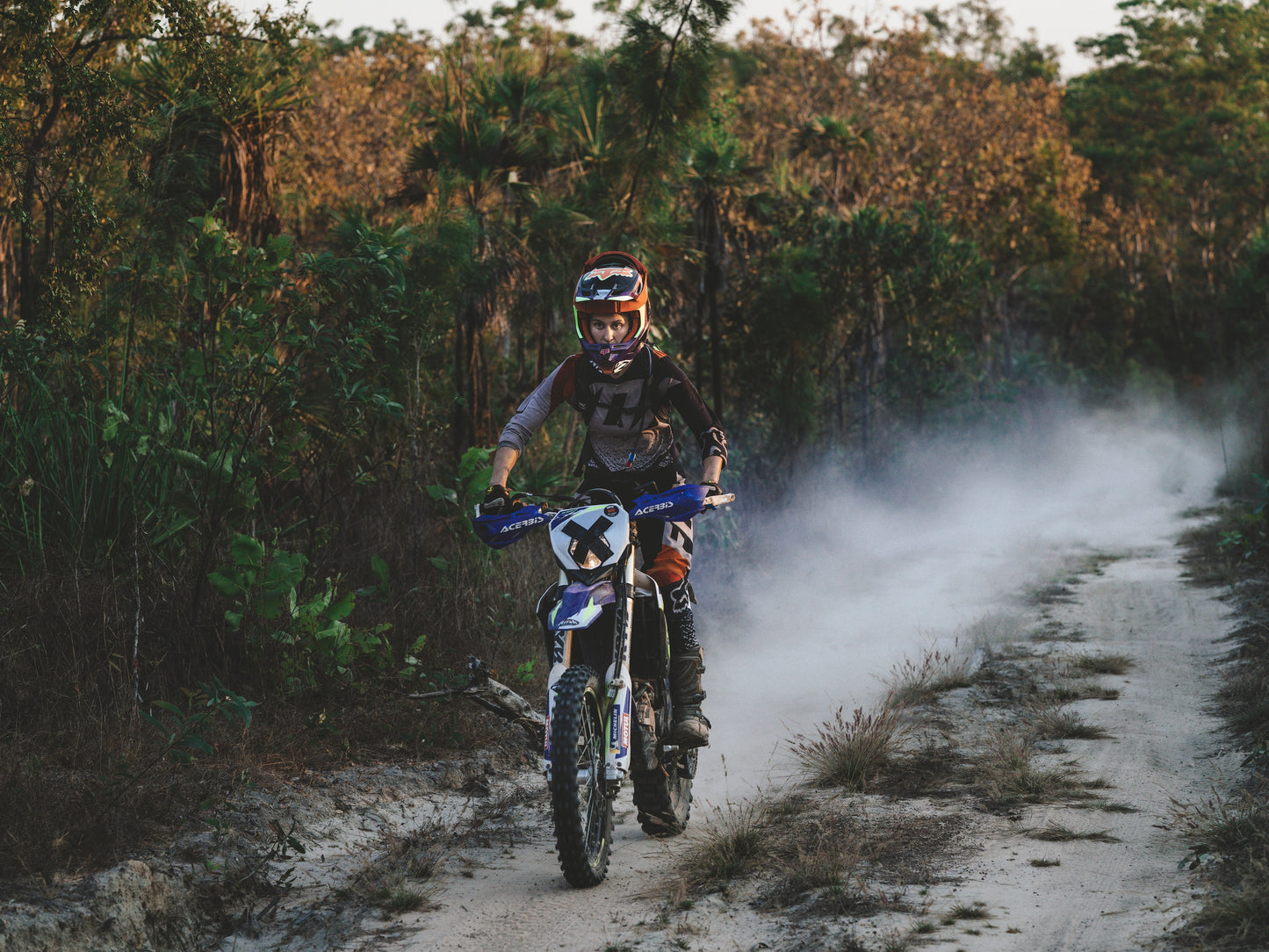 High Level Rider Next Level Rider: 12-week online training and conditioning program ...